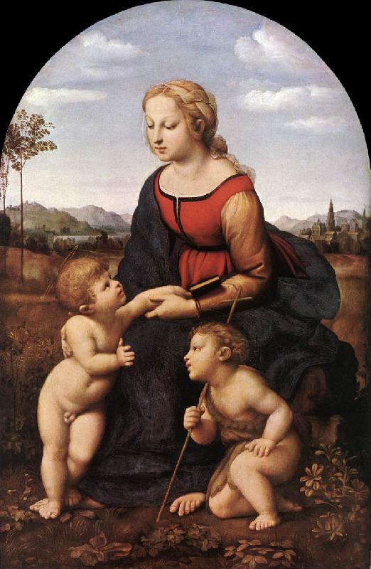RAFFAELLO Sanzio The Virgin and Child with Saint John the Baptist (La Belle Jardinire)  af oil painting picture